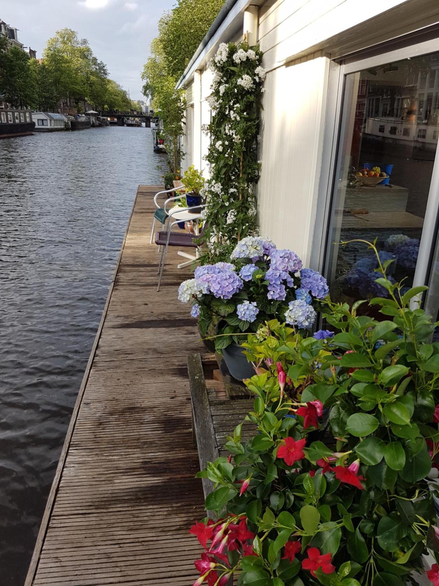 אמסטרדם Pantheos Top Houseboat מראה חיצוני תמונה